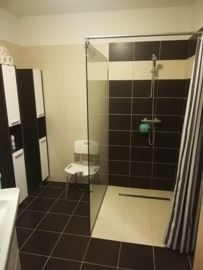 Apartmany Pod Divadlem زنويمو المظهر الخارجي الصورة