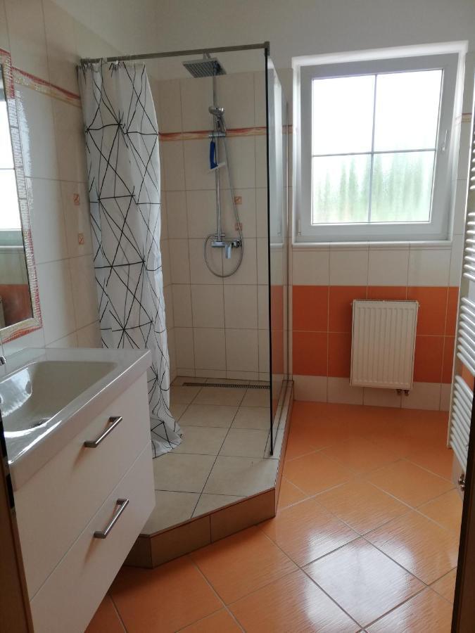 Apartmany Pod Divadlem زنويمو المظهر الخارجي الصورة